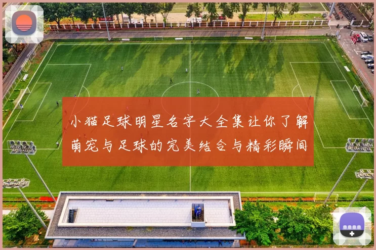 小猫足球明星名字大全集让你了解萌宠与足球的完美结合与精彩瞬间
