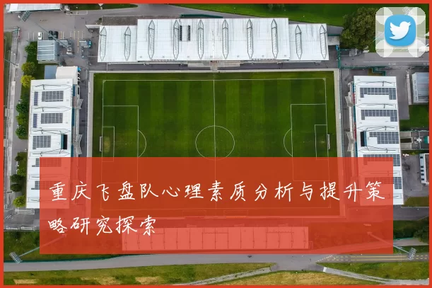 重庆飞盘队心理素质分析与提升策略研究探索