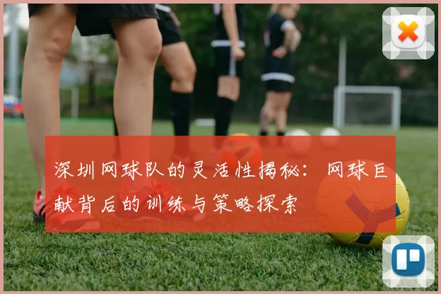 深圳网球队的灵活性揭秘：网球巨献背后的训练与策略探索