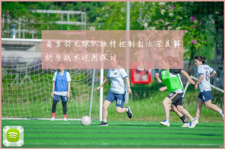 南京羽毛球队独特控制打法深度解析与战术运用探讨