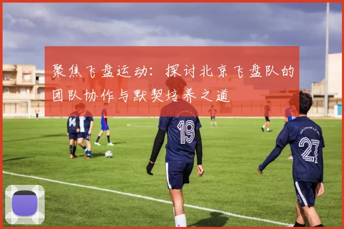 聚焦飞盘运动：探讨北京飞盘队的团队协作与默契培养之道