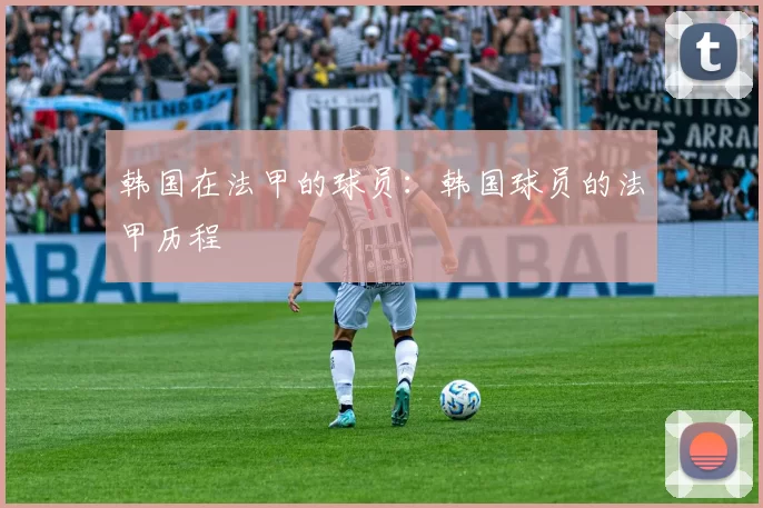 韩国在法甲的球员：韩国球员的法甲历程