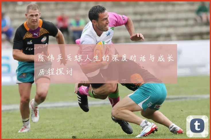陈伟乒乓球人生的深度对话与成长历程探讨