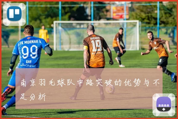 南京羽毛球队中路突破的优势与不足分析