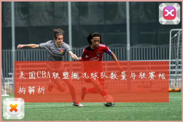 美国CBA联盟概况球队数量与联赛结构解析