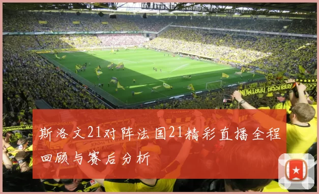 斯洛文21对阵法国21精彩直播全程回顾与赛后分析