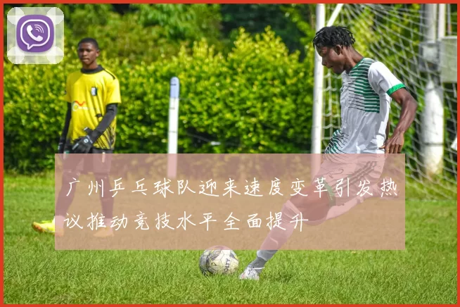 广州乒乓球队迎来速度变革引发热议推动竞技水平全面提升