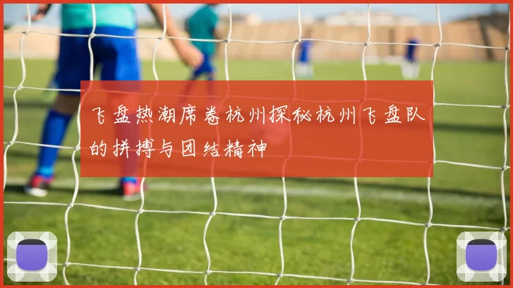 飞盘热潮席卷杭州探秘杭州飞盘队的拼搏与团结精神