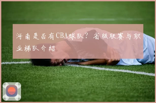 河南是否有CBA球队？省级联赛与职业梯队介绍