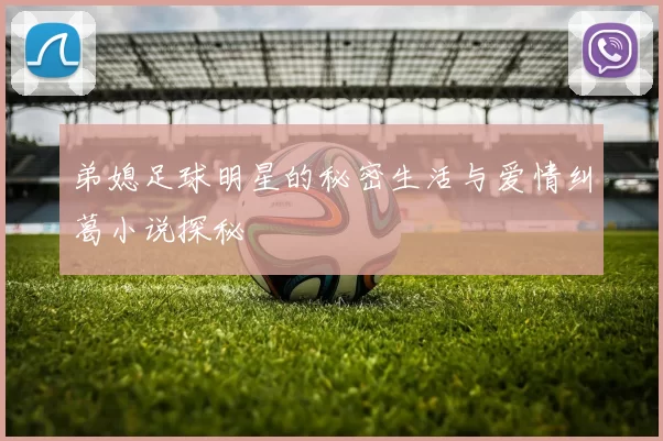 弟媳足球明星的秘密生活与爱情纠葛小说探秘