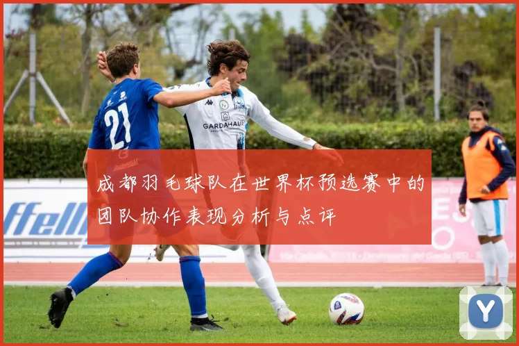 成都羽毛球队在世界杯预选赛中的团队协作表现分析与点评
