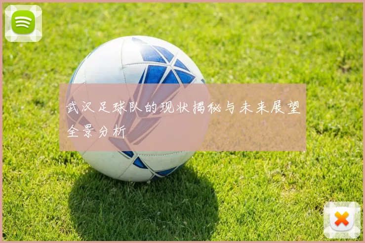 武汉足球队的现状揭秘与未来展望全景分析